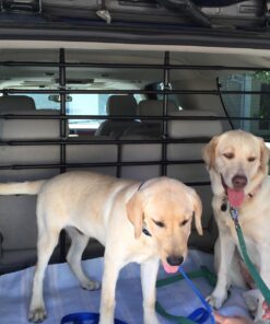 Guardian Gear Vehicle Pet Barrier, Strong, Sturdy, Pressure-Mounted, and Heavy-Duty Adjustable Steel Rubber - Black Basic Barrier 18 7127J6bXadL