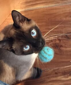 Pet Pizazz Wool Ball Cat Toy - 6PC - 100% Wool Cat Toys for Indoor Cats Interactive 23 712BUf6EPOL