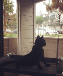 Kitty Cot Original World's Best Cat Perch (Large) Black Color Kitty Cot Large 43 712CRXfwCXL