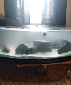 Flex Seal Liquid, 32 oz, White, Liquid Rubber Coating Sealant, Waterproof, Flexible, Breathable, and UV Resistant, Roof Repair, Basements, RV, Campers, Trailers, Marine, EPDM, Masonry 32-oz 42 712DXTOVoVL