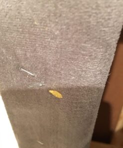 EcoRaider Bed Bug Killer Spray 1 Gallon Jug, Green + Non-Toxic, 100% Kill + Extended Protection 33 712FGqOnc L