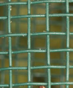 NaturesPeck® Dried Mealworms (11-22-44 lbs) Non-GMO High Protein Treats for Chickens & Wild Birds 11.00 Pound (Pack of 1) 12 712HFVFPtjL