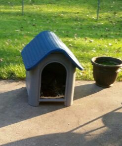 always-quality Indoor Outdoor Dog House Small to Medium Pet All Weather Doghouse Puppy Shelter Blue 21 712I5JLsZL