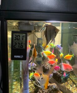 Fluval 2-in-1 Digital Aquarium Thermometer 11 712ICQowXYL