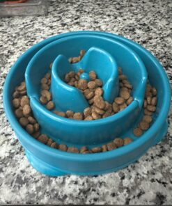 Outward Hound Fun Feeder Slo Bowl, Slow Feeder Dog Bowl, Medium/Mini, Turquoise 28 712LYL4JxL 1