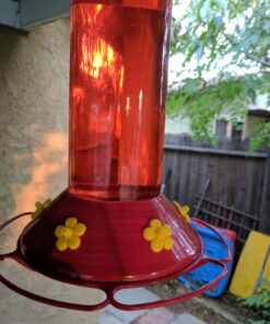 Perky Pet 202FB 9 Piece Yellow Hummingbird Feeder Replacement Flowers 11 712NwtcKbtL