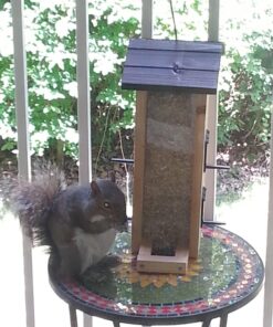 Cole's FS16 Flaming Squirrel Seed Sauce, 16-Ounce 1 26 712Q DRMjsL