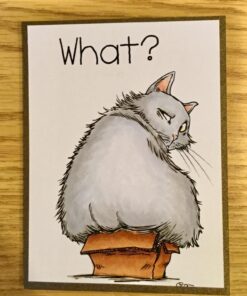 Limited Papers Super Smooth Solar White 80# Cover 8.5"x11" 250/pack 8.5x11 7 712QgD8q TL