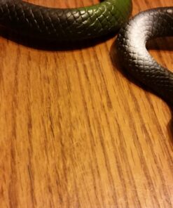 Fun Central 12 Pack - Realistic Rubber Snakes Toys for Garden in Bulk - 22 inches 39 712QwN1RfWL