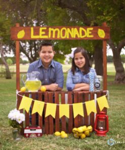 Northpoint 190503 AM/FM Vintage Radio 18 712RwqgwlnL