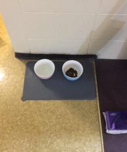 FELINE GREENIES Natural Dental Care Cat Treats Oven Roasted Chicken Flavor, 5.5 oz. Pack 32 712Us8NKMGL