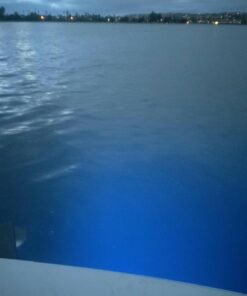 Jiawill 316L Stainless Steel Underwater 1/2" NPT 9 to 30V 27w Boat Drain Plug Light with Internal Driver and Overheat Protection 3 Years Warranty (Blue) Blue 39 712Wzx6A43L