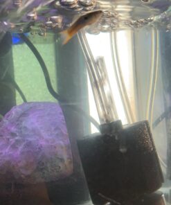 API STRESS COAT Aquarium Water Conditioner 16-Ounce Bottle 16 oz Aquarium Treatment 31 712Y6ZdGnlL