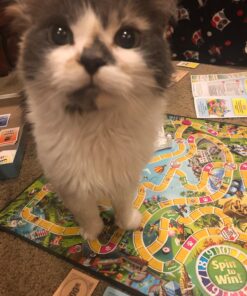 Hasbro Gaming Game of Life 21 712YlzubL