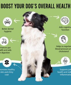 Caniclean Seaweed for Dogs Teeth - Dog Tartar Removal Tool, Plaque Remover, and Breath Freshener - Get Plaque Off Dogs Teeth Naturally 27 712ZILZQePL