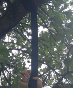 Easy Hang (4FT) Tree Swing Strap X1 - Holds 2200lbs. - Heavy Duty Carabiner - Bonus Spinner - Perfect for Tire and Saucer Swings - 100% Waterproof - Easy Picture Instructions - Carry Bag Included! 4 Feet Single 33 712a9FiplL