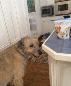 Checkups- Dental Dog Treats, 24ct 48 oz. for dogs (One Pack) 6 712iWgQdrCL