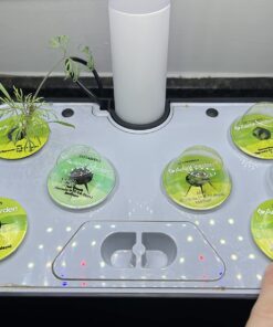 AeroGarden Gourmet Herb Seed Pod Kit - Herb Seeds for AeroGarden Indoor Garden, 6-Pod 24 712lcii7DEL