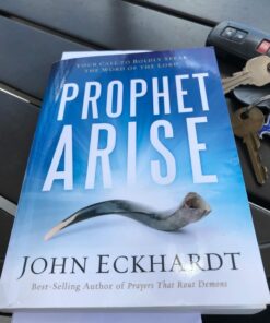 Prophet, Arise: Your Call to Boldly Speak the Word of the Lord 8 712nmnPw6ML