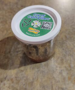 Butterfly Garden: Farm Habitat and Live Cup of Caterpillars – Life Science & STEM Education Butterfly Farm 37 712rkirVyLL 1