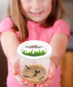 10 Live Caterpillars Shipped Now: Butterfly Kit Refill 29 712sq6uj5KL