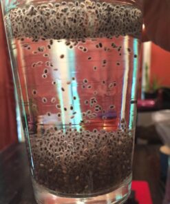 Healthworks Chia Seeds Raw (96 Ounce / 6 Pounds) | Premium & All-Natural | Contains Omega 3, Fiber & Protein | Great with Shakes, Smoothies & Oatmeal | Packaging May Vary 96 Ounce (Pack of 1) 31 712tNX5uY L 1