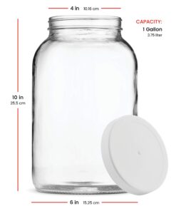 Paksh Novelty 1-Gallon Glass Jar Wide Mouth with Airtight Plastic Lid - USDA Approved BPA-Free Dishwasher Safe Mason Jar for Fermenting, Kombucha, Kefir, Storing and Canning Uses, Clear (4 Pack) Plastic Lid, 4 Pack 30 712teFw4QVL
