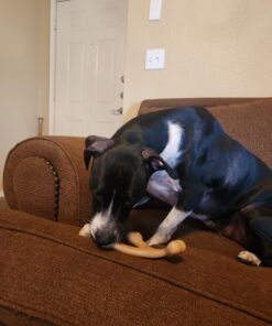 Benebone Wishbone Durable Dog Chew Toy for Aggressive Chewers, Real Bacon, Made in USA, Medium 30 712ufGjR9L