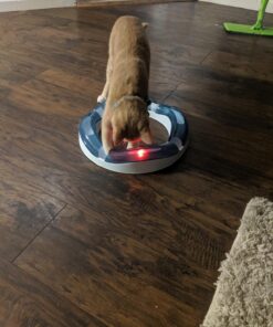 Catit Design Senses Speed Circuit 25 712vI7O3AL