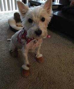 URBEST Dog Shoes with Hook Loop Closure Booties Pet Dog Chihuahua Shoes Boots, 4Pcs (5#, Brown) 5# 33 712zSiFmV8L