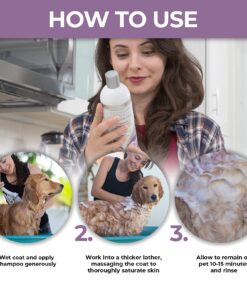 Veterinary Formula Clinical Care Antiparasitic & Antiseborrheic Medicated Dog Shampoo, 16 oz – Paraben, Dye, Soap Free – Hydrating and Antifungal Shampoo for Dogs, White 31 713 Xw5CYKL