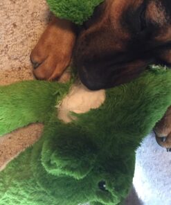 KONG Cozie Ali Alligator XL X-Large Standard Packaging 39 7131 5uJfL