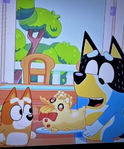 Jay Franco Bluey Piggyback Bath/Pool/Beach Hooded Poncho - Super Soft & Absorbent Cotton Towel, Measures 22 x 22 Inches (Official Bluey Product) Blue - Bluey 19 71328zStARL