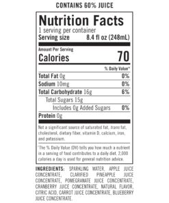 IZZE Sparkling Juice, Pomegranate, No Added Sugars, No Preservatives, Non-GMO, 8.4 Fl Oz Can (Pack of 24) 8.4 Fl Oz (Pack of 24) 15 7132s142CVL