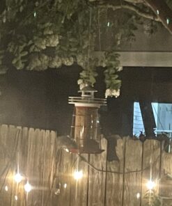 Cole's FS16 Flaming Squirrel Seed Sauce, 16-Ounce 1 27 7133oPllCCL