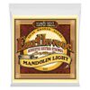 Ernie Ball Earthwood Light 80/20 Bronze Mandolin Strings, 9-34 Gauge (P02067) Light (9-34) 14 7133sASI3PL