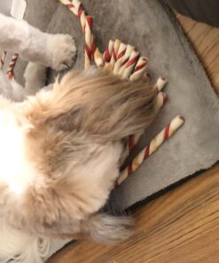 GOOD 'N' FUN Triple Flavor Twist Chews For Dogs, 22-Count 27 7134331adL