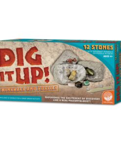 Dig It Up! Fossils & Minerals 17 7136HLbbZlL