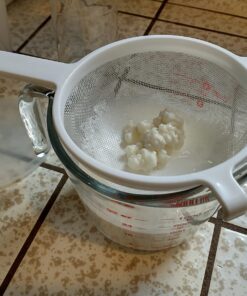 Live Milk Kefir Grains - Live Probiotic Culture Mr. and Mrs. Kefir Instructions 19 7137o9LgvnL