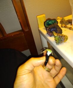 Magic Makers Pen Trick Original - Easy Pen Thru Dollar Bill Penetrating Trick 16 7138oUa 1uL