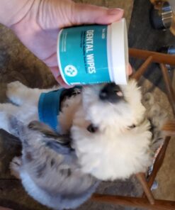 Pet MD Dog Breath Freshener Dental Wipes for Dogs - Tartar and Plaque Remover for Teeth Cleaning - Fresh Apple & Mint Scent Bad Breath Treatment for Dogs - 100 Count 36 713958sVaoL