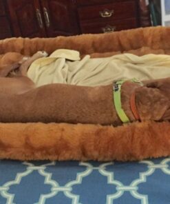 MidWest Homes for Pets Bolster Cinnamon Pet Bed for Dogs & Cats w/ Comfortable Bolster | Ideal for Extra Large Dog Breeds & Fits a 48-Inch Crate | Easy Maintenance Machine Wash & Dry | 48L-Inch 37 713ChKQzlL