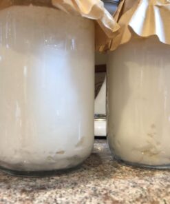 Fusion Teas 1 TBSP Organic Milk Kefir Grains and ebook “Milk Kefir Unleashed by Thomas Egbert” - Fresh Live Active Probiotic Starter Cultures 35 713E96hWCoL