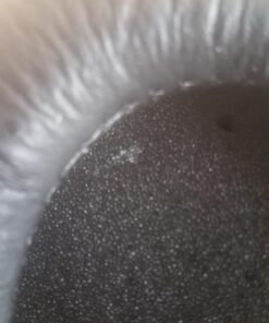 Behringer HPS3000 High-Performance Studio Headphones Black Over-Ear 40 713FMibSHkL