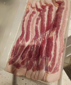 Home-X Bacon Saver, Plastic Bacon Container/Kitchen Meat Saver Storage Container 15 713GajbPaQL