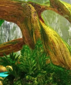 Tetra Whisper Air Pump with Minimal Noise and Maximum Air Flow 20 to 40 gallons 34 713GeOEzi2L