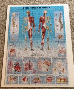 EuroGraphics Human Body Puzzle (1000-Piece) 9 713JOJ1mfL