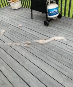 KONG - ZoomGroom - Dog Brush for Grooming and Shampooing - Blue Brush for Large Dogs Standard Packaging 25 713JWE4Y5L