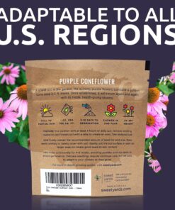 Purple Coneflower Seeds – Extra Large Packet – Over 3,000 Open Pollinated Non-GMO Wildflower Seeds – Echinacea purpurea 1 Ounce Pouch 22 713Lu1wYIGL