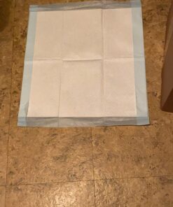 Amazon Basics Dog and Puppy Pee Pads with Leak-Proof Quick-Dry Design for Potty Training, Standard Absorbency, Regular Size, 22 x 22 Inches, Pack of 100, Blue & White Unscented Regular (100 Count) 39 713N5sJ1oCL 1